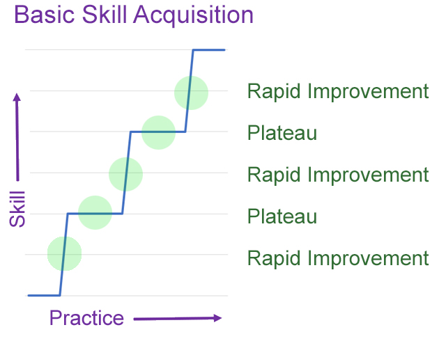 Basic Skill Acquisition

A graph showing skill increasing with practice, in steps. The steps are labeled:
Rapid Improvement
Plateau
Rapid Improvement
Plateau
Rapid Improvement