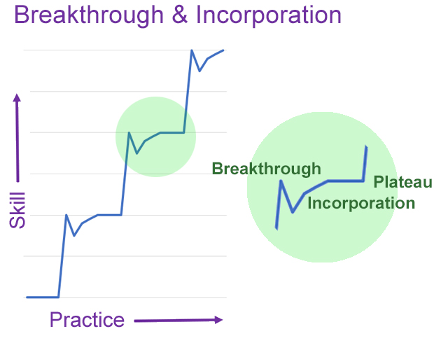 Breakthrough & Incorporation

A version of the Basic Skill Acquisition graph showing a spike, dropoff, and recovery at each step.

In detail, the spike is labeled "breakthrough," the dropoff is labeled "incorporation," and the recovery is labeled "plateau."
