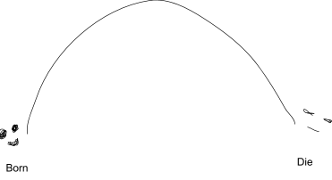 A drawing of an arc like a rainbow, with a smiling face — "born" — at the start and a resting face — "die" — at the end.